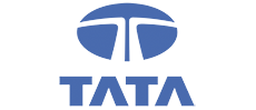 Tata Consulting Services